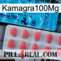 Kamagra100Mg new14